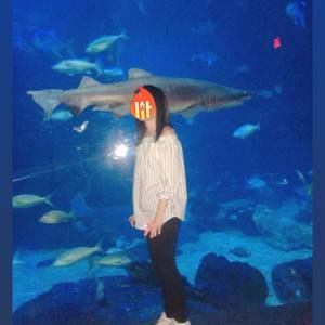 Meet your Posher, Thy